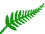 fern_bullet.gif (347 bytes)